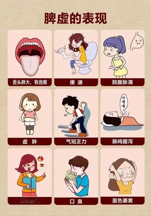 脾虚的人减肥：先健脾，再掉秤，不反弹还不伤身很多人喝水都胖、肚子松垮、减不下来，