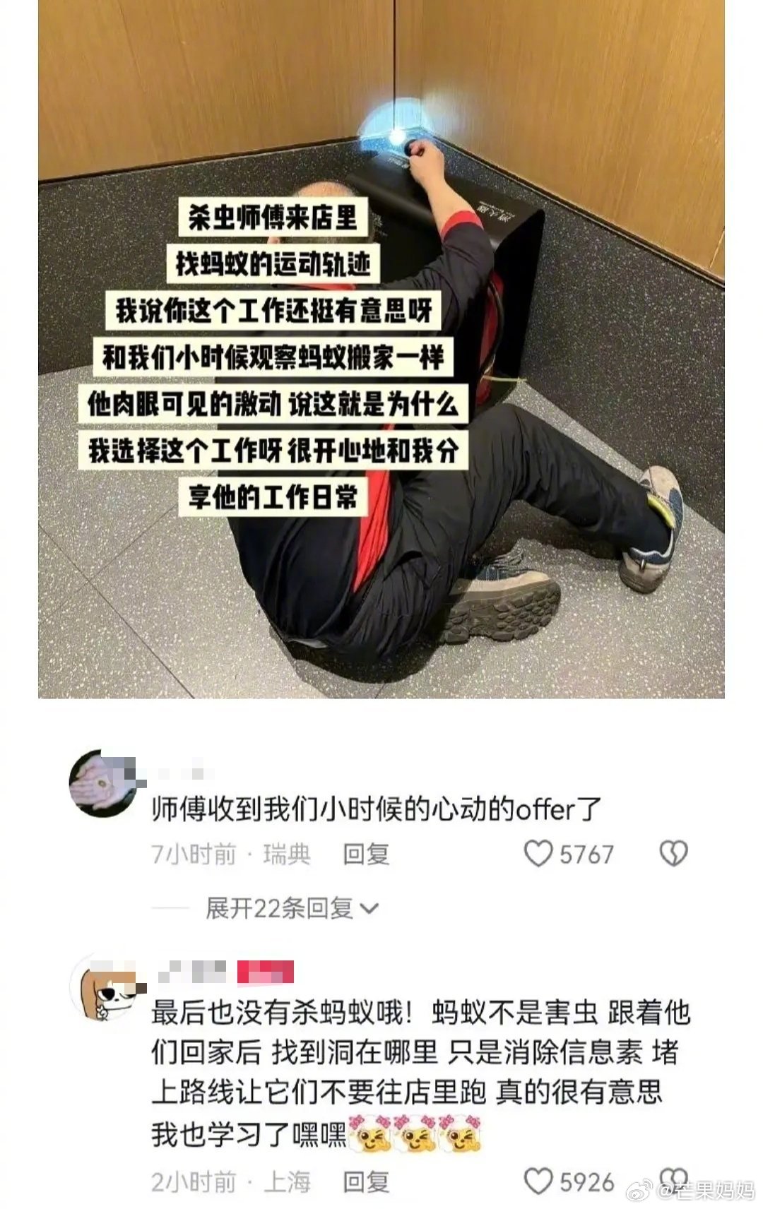 童年爱观察虫子的小男孩收到了他心动的offer