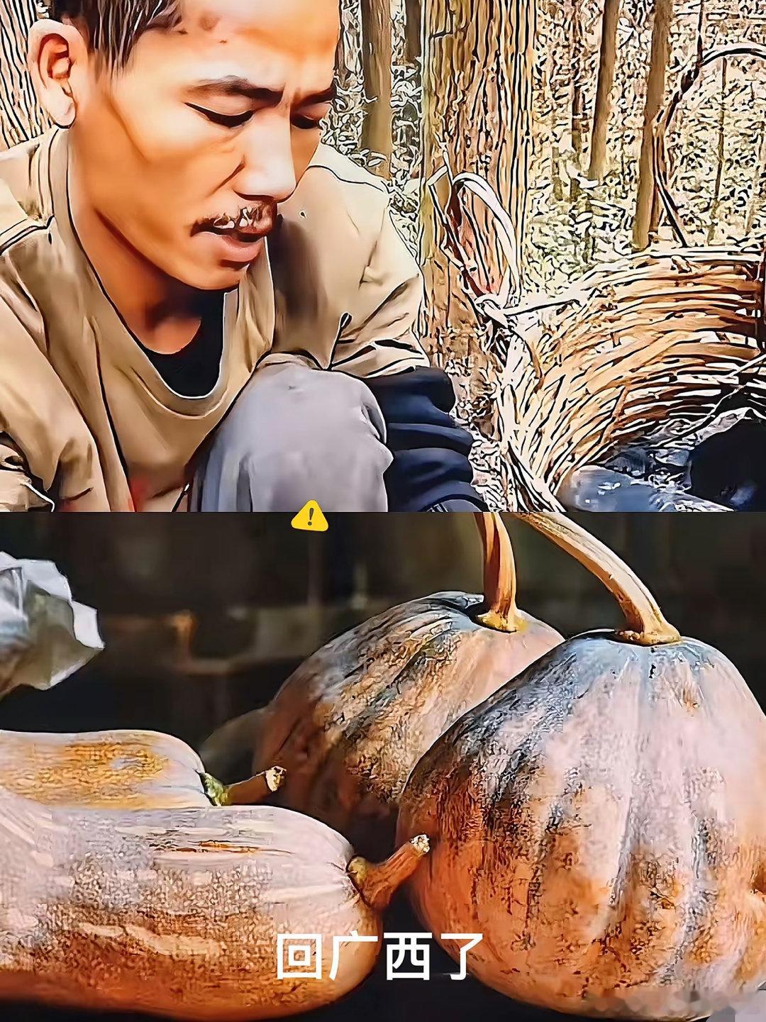 湖南张家界那场荒野求生赛，最被看好的广西选手居然被退赛了，原因是栽在几个南瓜上！