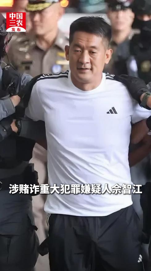 佘（she）智江，这个名字，在刚开始的时候，我竟然认成是余（yu）智江，很长时间