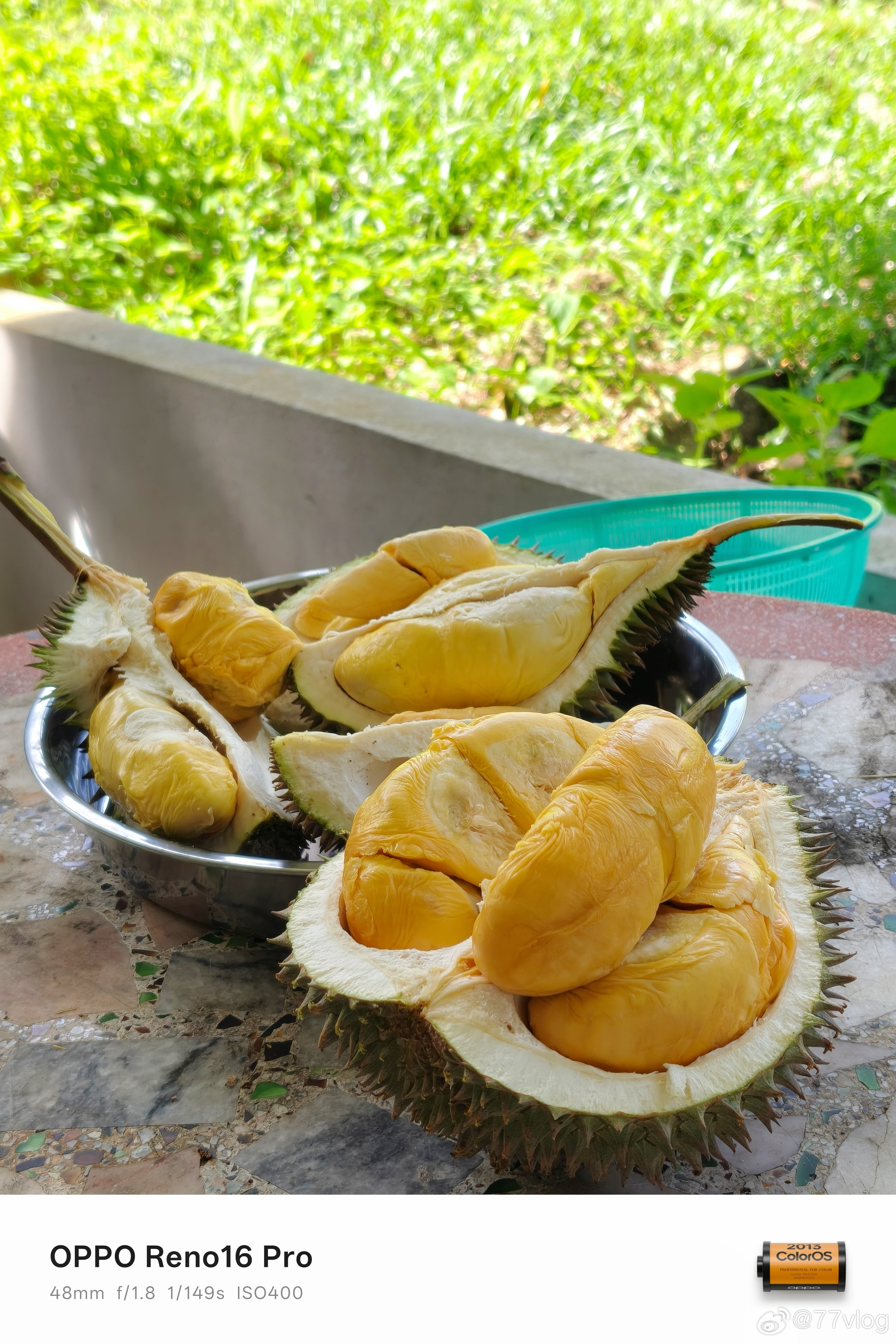 赶在槟城的榴莲季，专门开车一小时到罗浮山背的榴莲园吃榴莲不得不说！虽然槟城的榴莲