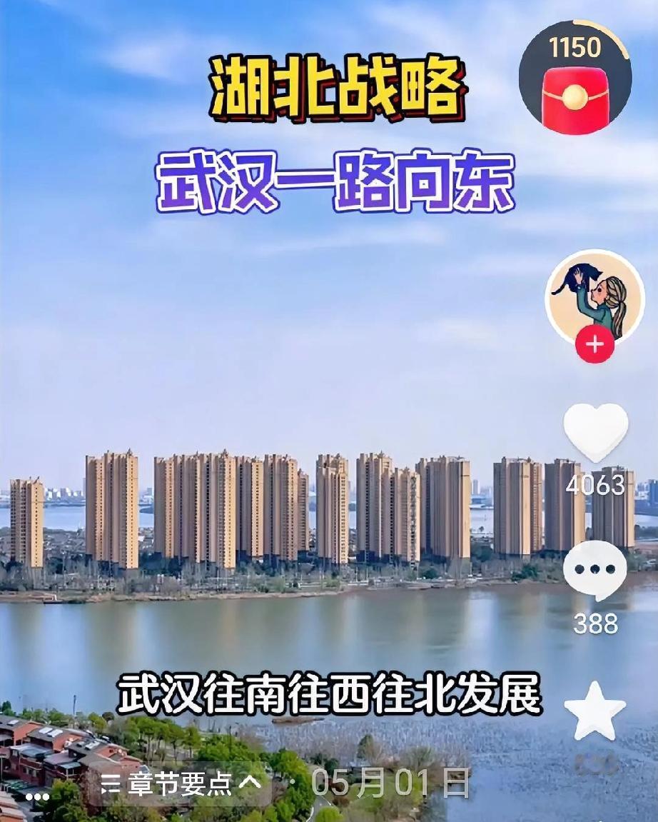 注意了，武汉北移战略随着2025年武汉五大城市中心组团规划落地，城市重心北移