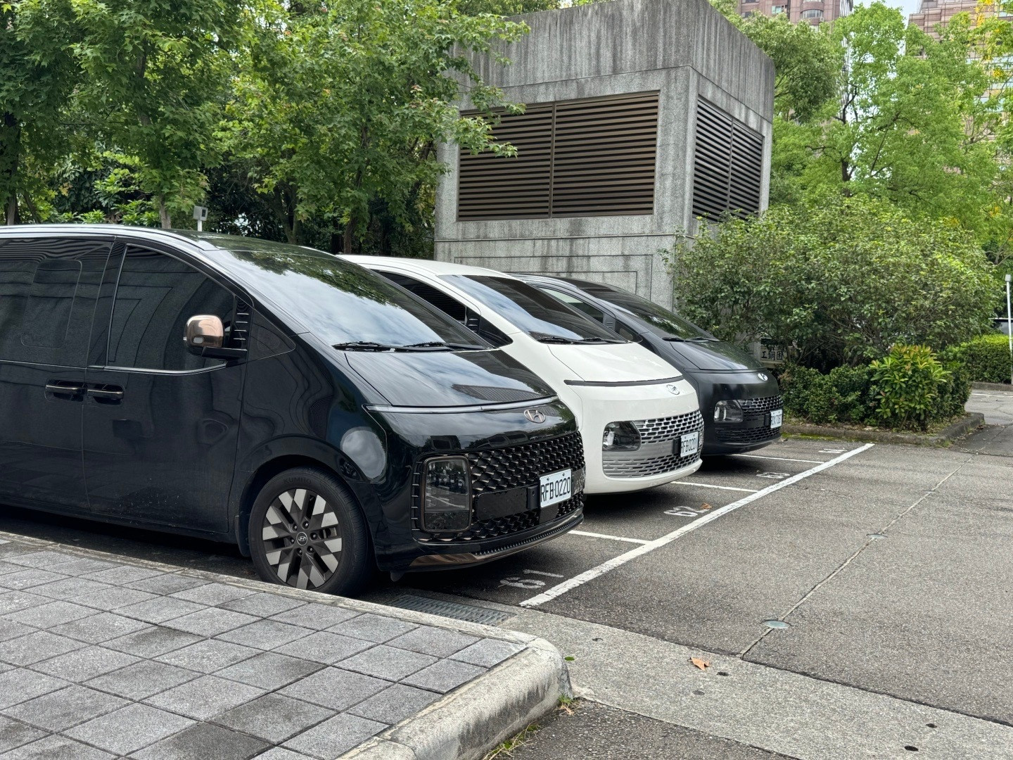这小Mega在台湾比我在东南亚见到的还多​​​