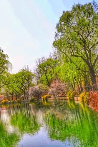 重庆作为中国西南的重要城市，以其独特的山水景观和丰富的文化底蕴闻名，被誉为“山城