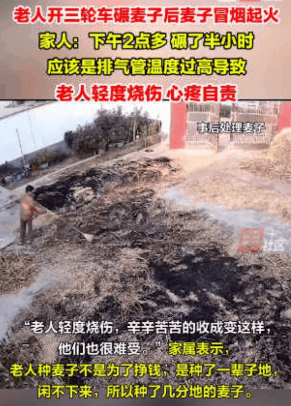 “没苦硬吃！”陕西，老人收麦后闲不住，在自家院子里开三轮碾麦子，不料温度太高麦子