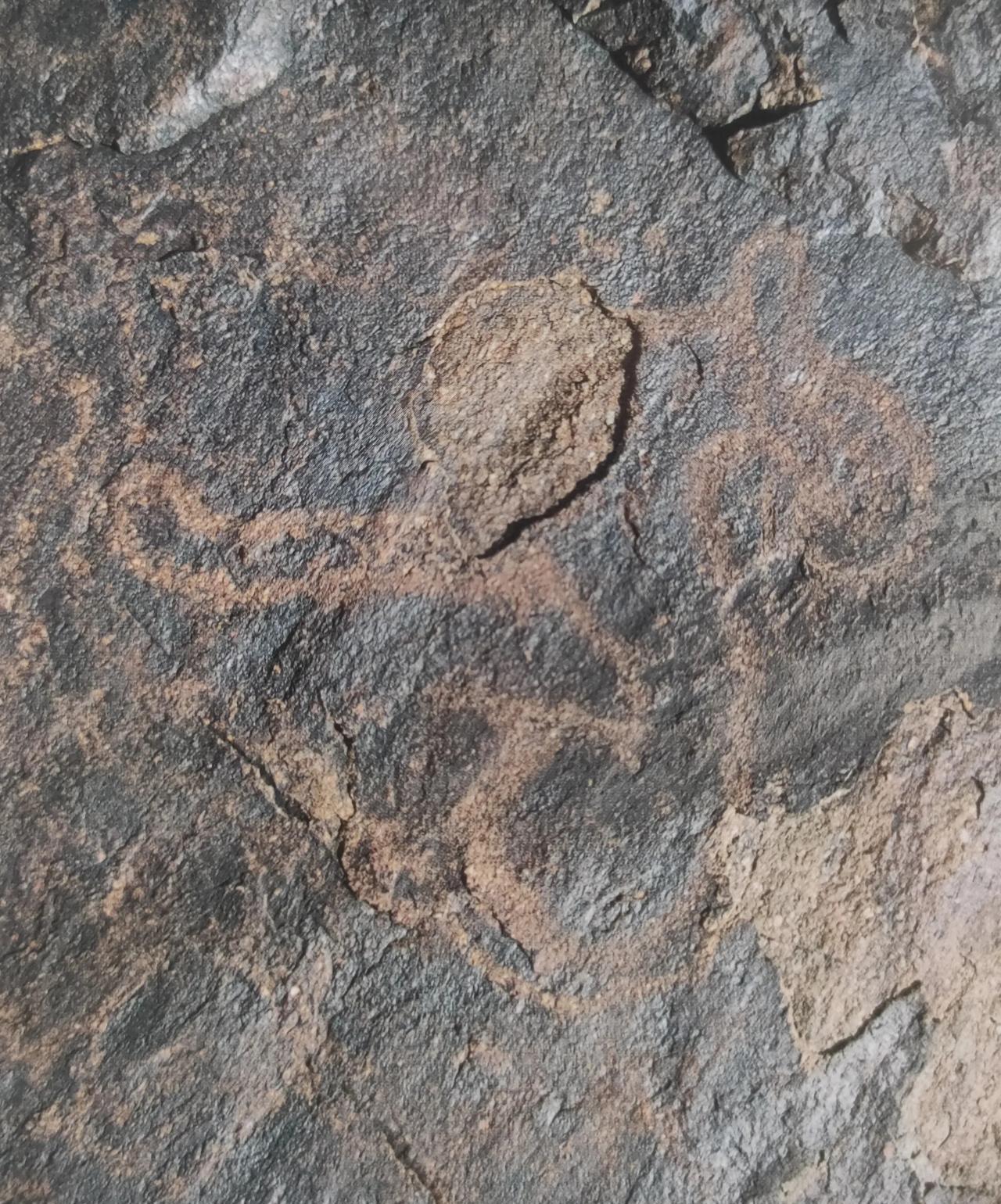 4000年前的岩画，所包含的信息比专家的分析更真实。这两张图片拍摄于新疆温泉县，