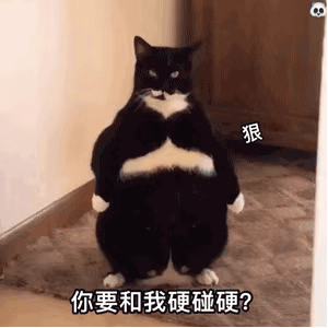 不是??你们怎么都去横店了？[微笑][微笑]​​​