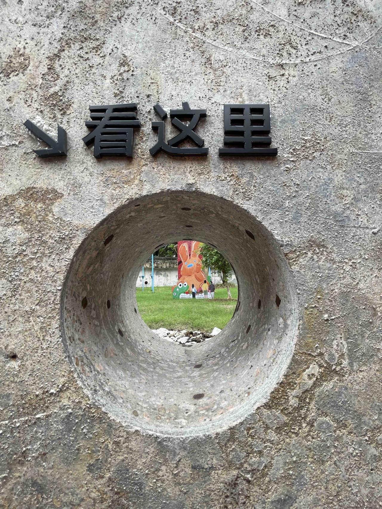 这个是别人家的小狗，但我家也有只超可爱的狗，是只比熊犬。它浑身雪白的毛，就像棉花