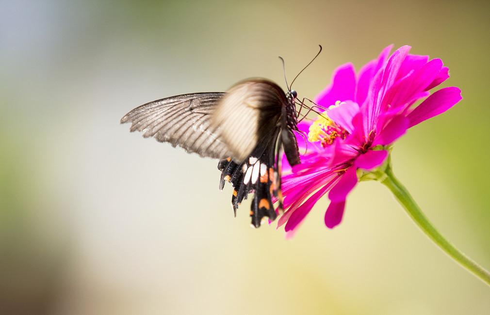 我的一个朋友，原来生意做的还不错，有点飘，喝酒吃饭唱K一个晚上花了1万多，现在经