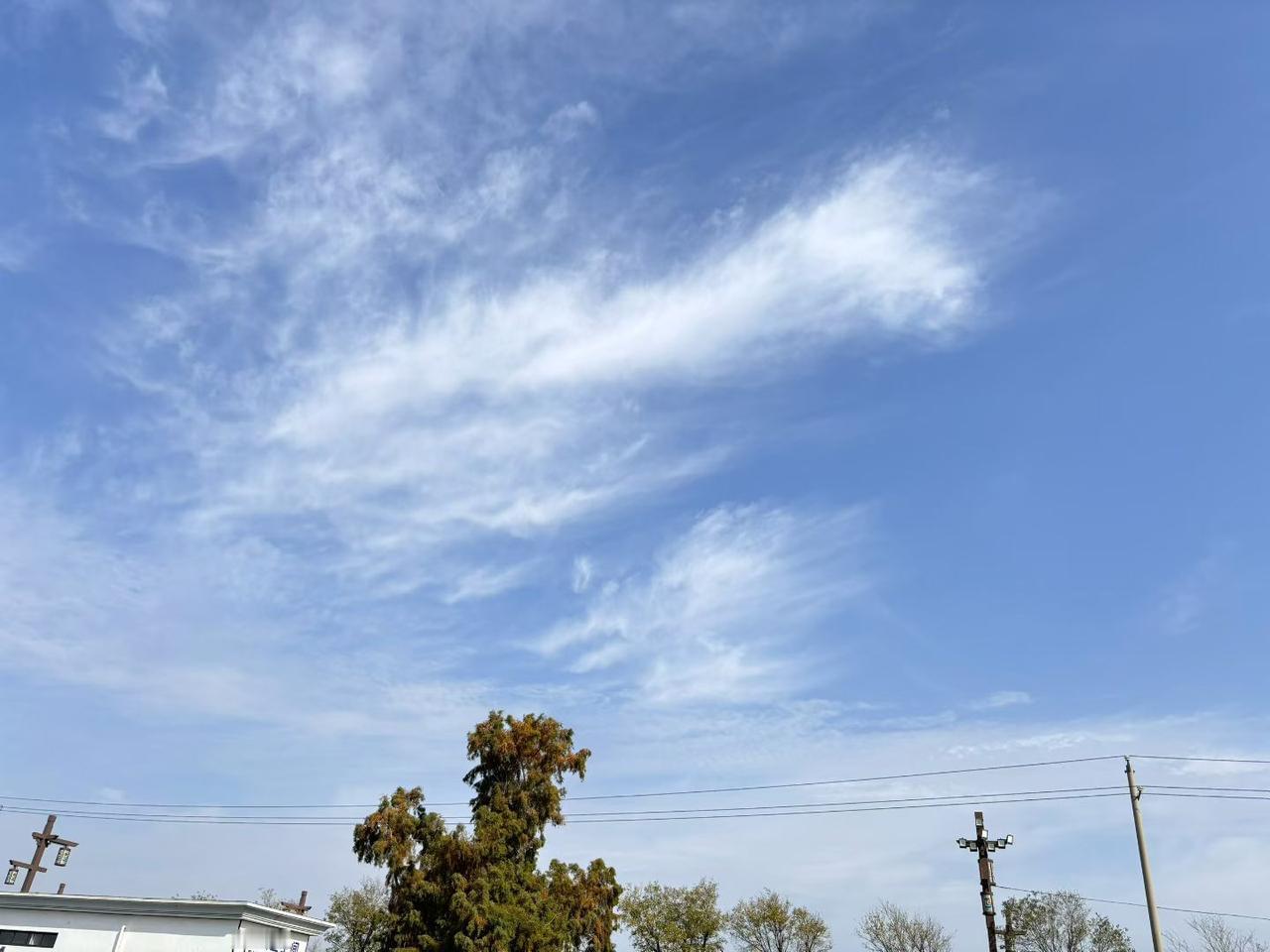 以前我总钻牛角尖，工作必须做到完美，连周末安排都不能出错，稍微有点偏差就烦躁。直