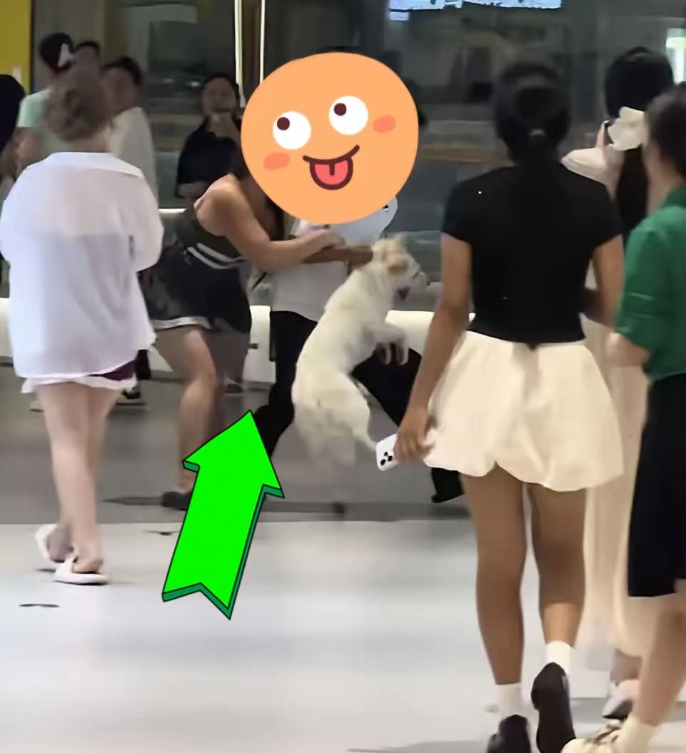 长沙，一小仙女带狗进商场还不牵绳，乱窜的狗吓到路过的男子女友。男子上来进行劝阻可