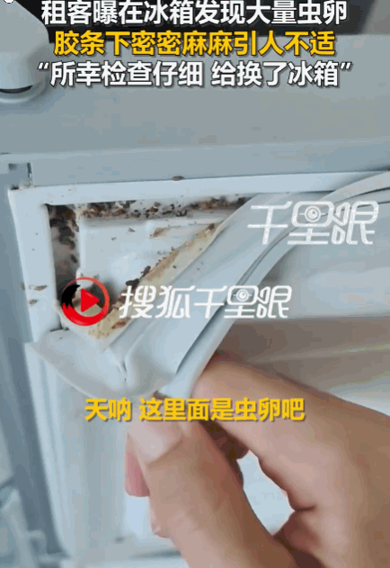 真让人恶心！广东广州，一男子刚搬进新租的房子，准备彻底做个大扫除。房间里的冰箱外