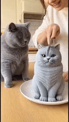 灰猫咪：我当时害怕极了！[捂脸哭]