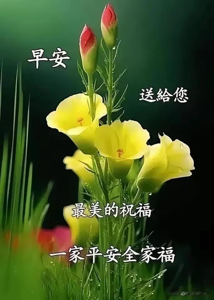 早安祝福，送给您最美的祝福，愿您一家平安幸福。