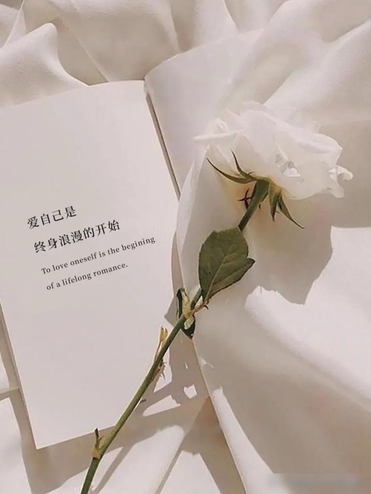 你敢信？于会长砸一亿是剧本，屠户女杀猪是真干！全网把《逐玉》杀猪戏骂上热搜