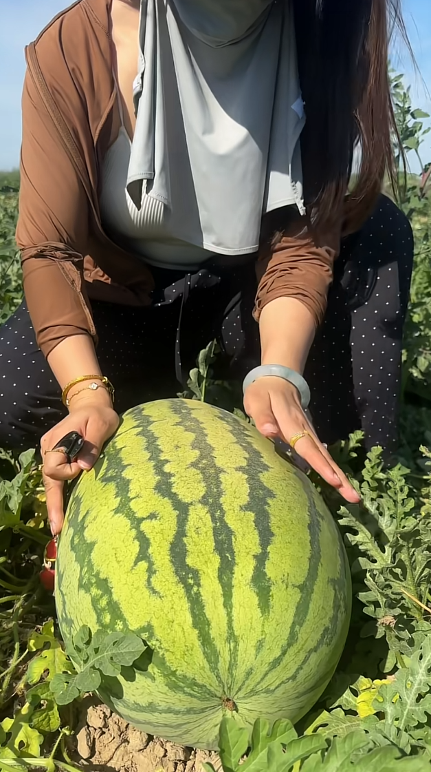 解暑圣品，甜甜的大西瓜