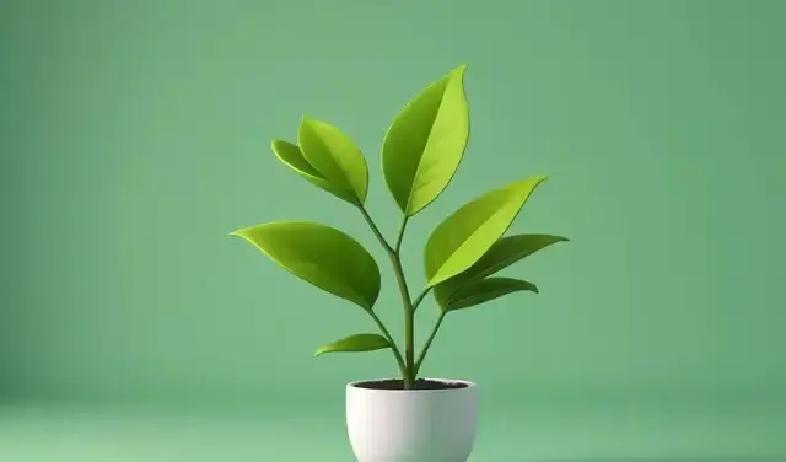 生活中总有那么些时刻，你真心待人，却换来背后捅刀；你老实本分，却被当成软柿子捏；