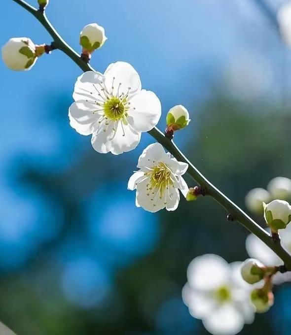 什么是心态好心态好，就是遇着事儿不慌。生活不会一帆风顺，家家都有烦心事。心态