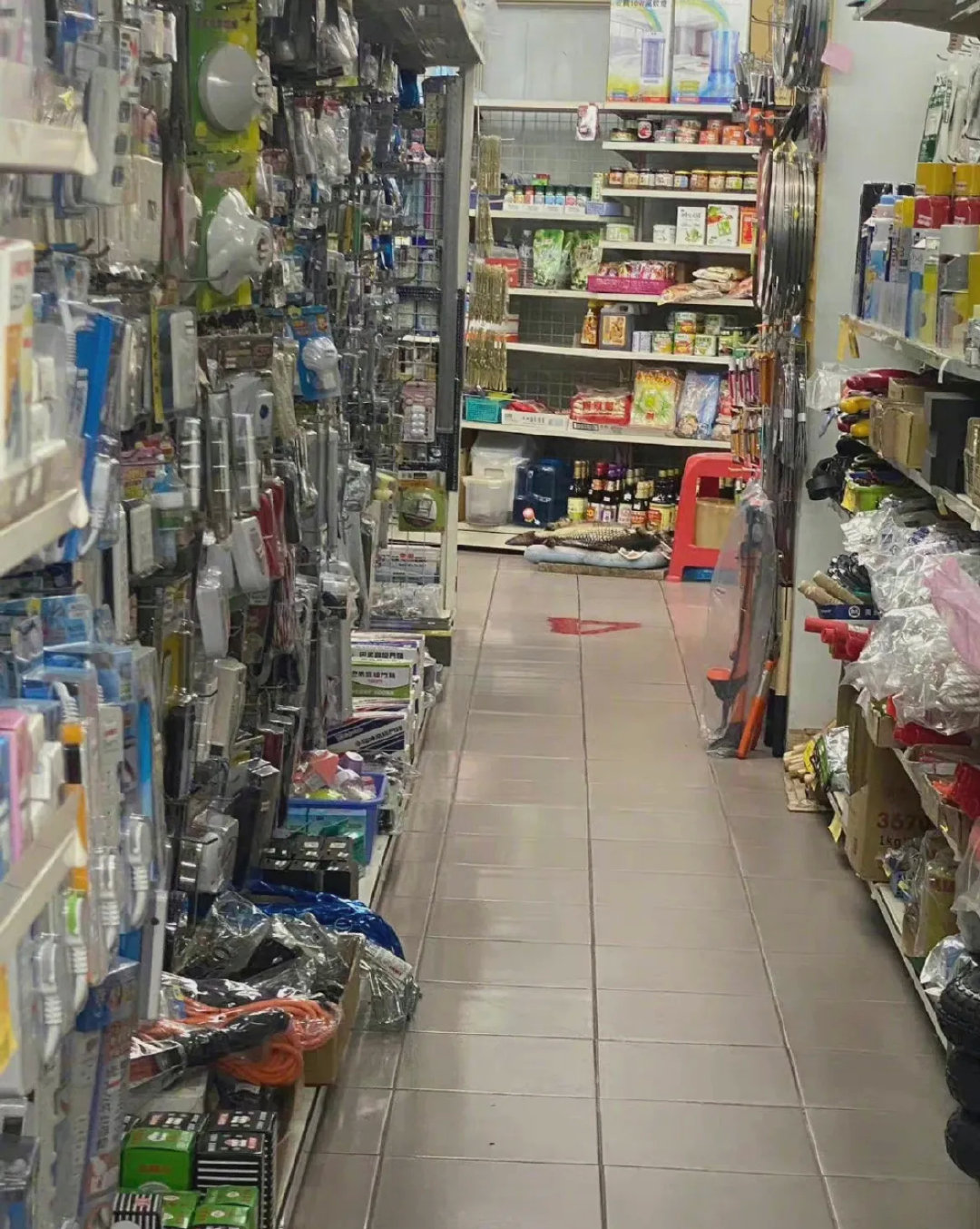 都和鱼睡一起了，店员都不管！