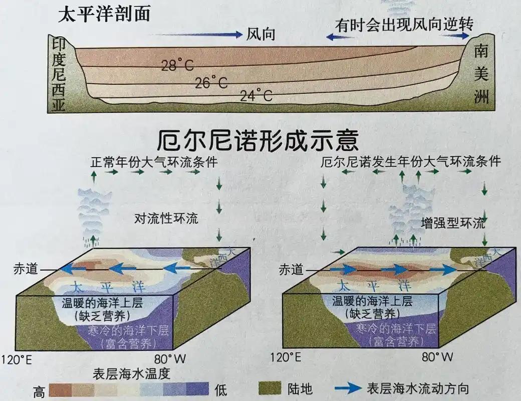 冬天要格外当心！超强厄尔尼诺正在逼近，全球极端天气风险全面抬升今年冬天全世