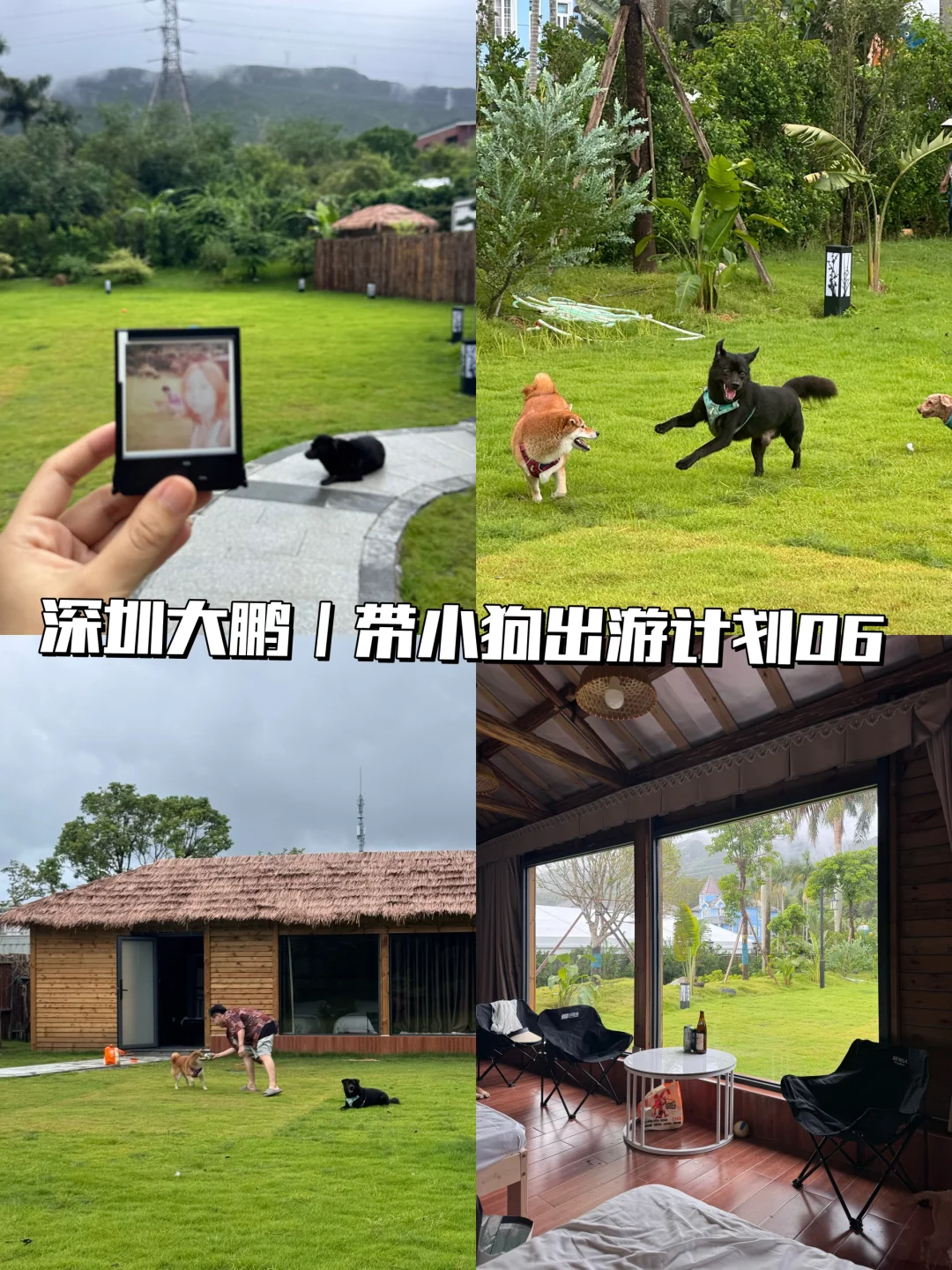 深圳带狗终于有了。。带大草坪的民宿！！
