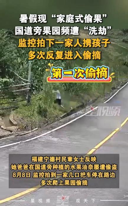 “太缺德了！”8月8日，福建宁德，一女子查看果园监控时，发现有车停在果园附近，一