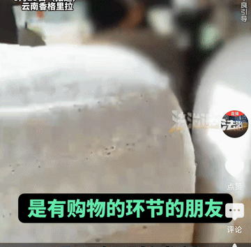 “这歪理真的是绝了！”近日，有网友反映，他们参加西双版纳两日游期间，香格里拉的一