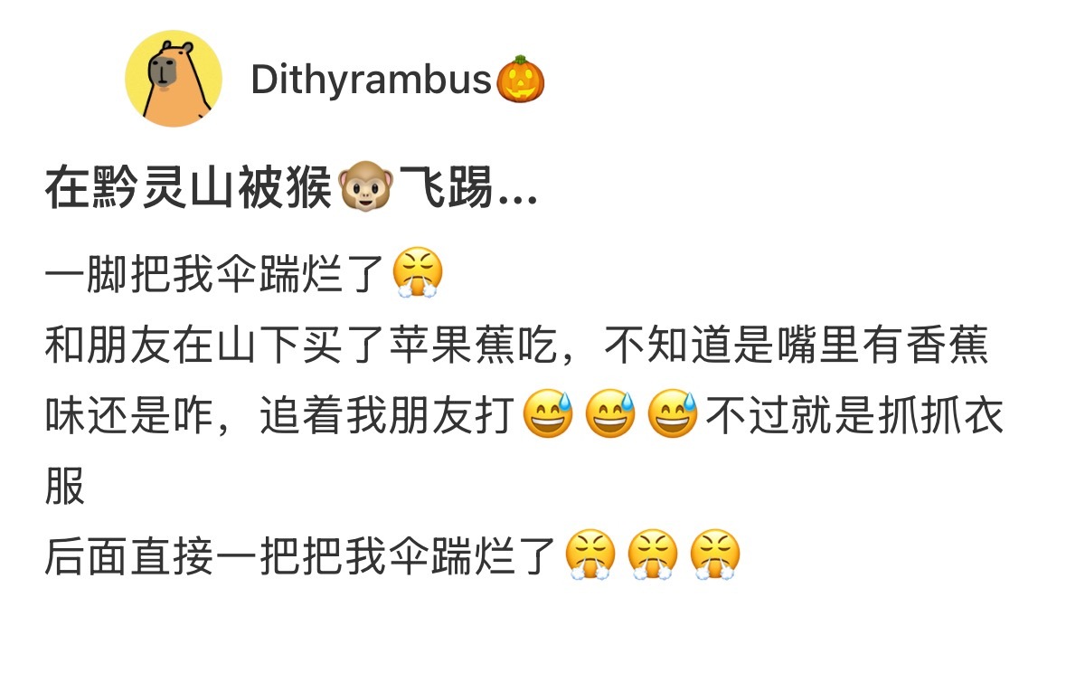 在黔灵山被猴子来了一次飞踢[捂脸哭]​​​