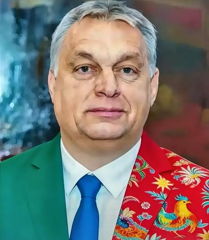 匈牙利传来新消息4月5日，匈牙利总理欧尔班在社交媒体上爆出一个猛料：他和塞尔