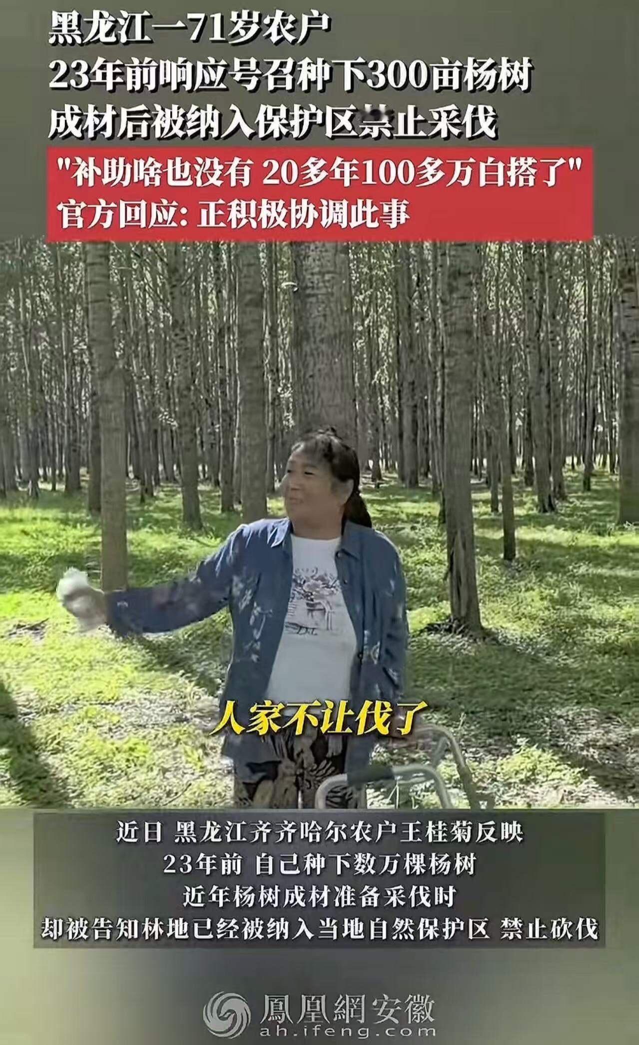 黑龙江，71岁农户23年前响应号召种下300亩杨树，成材后却被纳入保护区禁止采伐