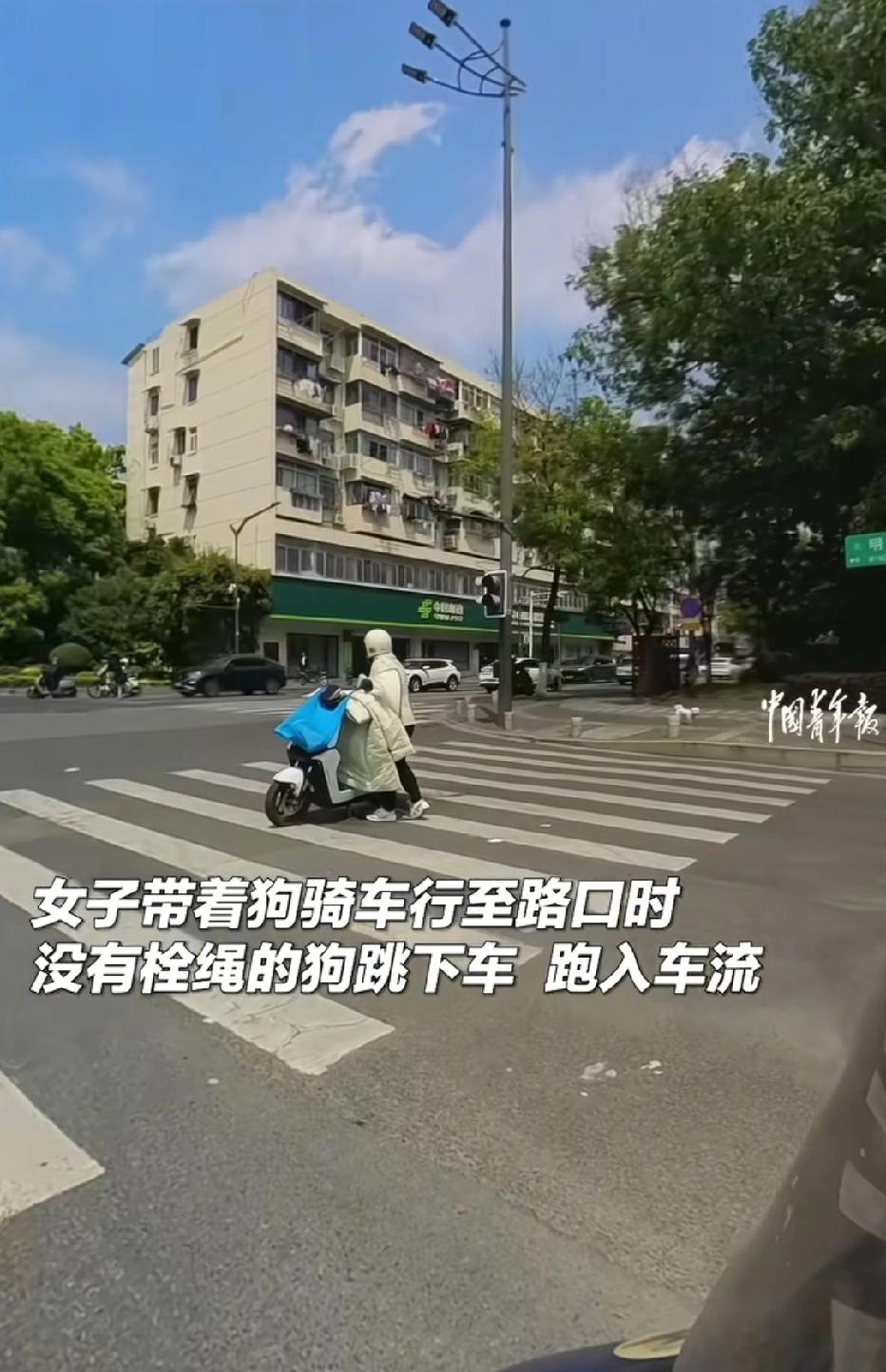 江苏南京，女子骑车带宠物狗出门，她没给狗栓绳子，狗在路口突然跳下车，女子将车停在