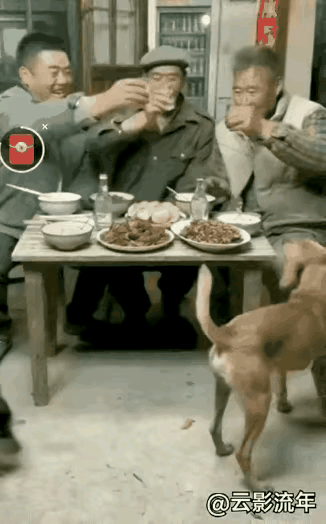 你喝你的酒我抢你的肉狐朋请狗友干得满地流这对狗儿成精了，这么一打架，桌子