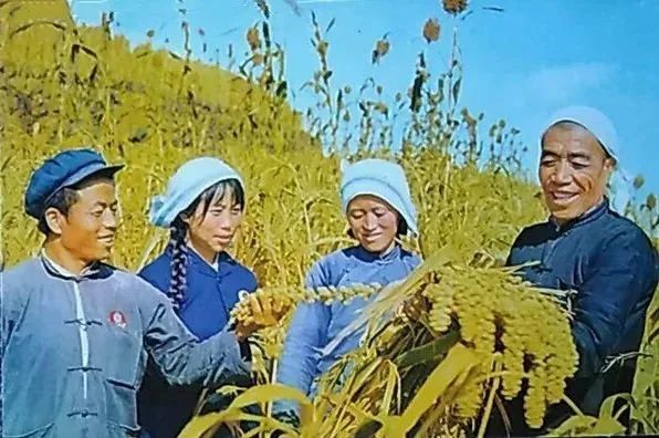 老照片: 60年代真实的大寨村, 在充满希望的田野上