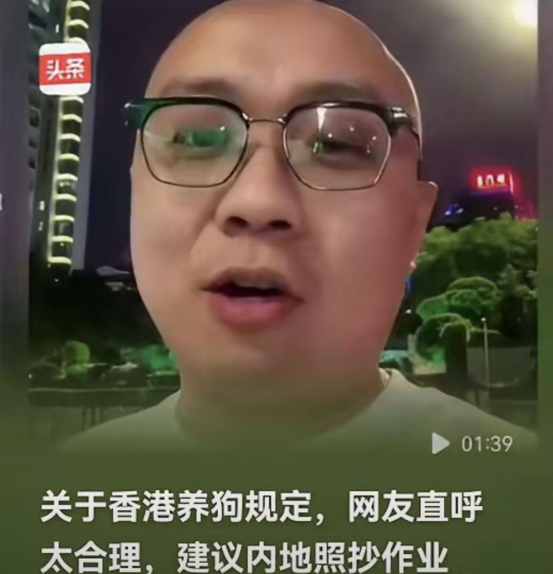 狗乱跑、粪不捡、咬人不负责，香港养狗真这么狠？不是管狗，是立规矩：解码香港养犬