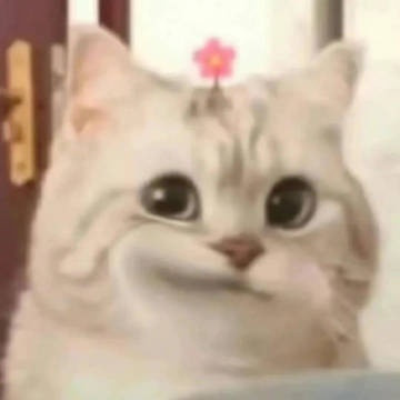 明天我要回来了等我