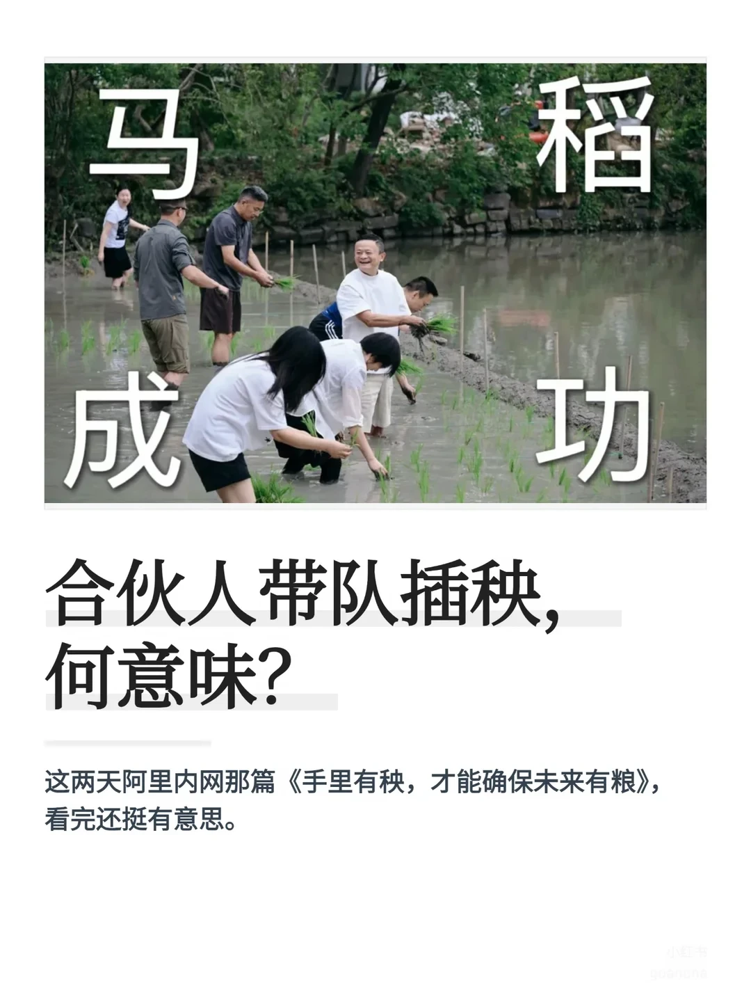 阿里这次插秧，真正想说的不是团建