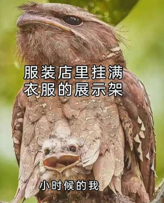 不带这么玩的吧