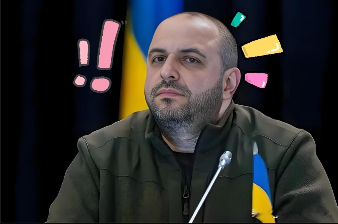 俄乌和平谈判迎来关键局！当地时间11月29日，一则消息引发全球关注：美国高