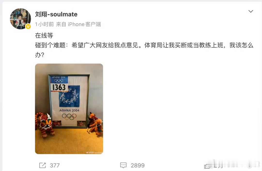 刘翔直接额度财富自由了吧，除非想当教练[doge]刘翔年保底收入1400万元​