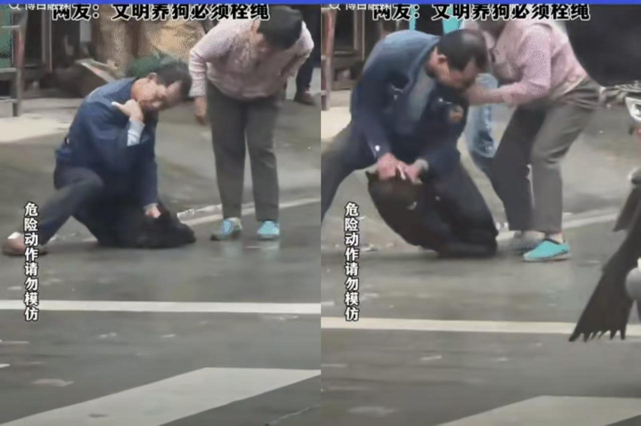 大妈遛狗不牵绳，狗狗直接咬伤路人！男子疼得怒火中烧，当场抓住狗狗教训，大妈却护犊