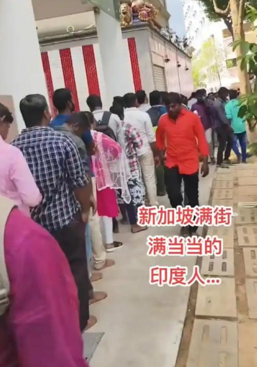 新加坡正在上演一出极其反常的戏码，占了人口绝大多数的华人，天天防着自己人，生怕旁