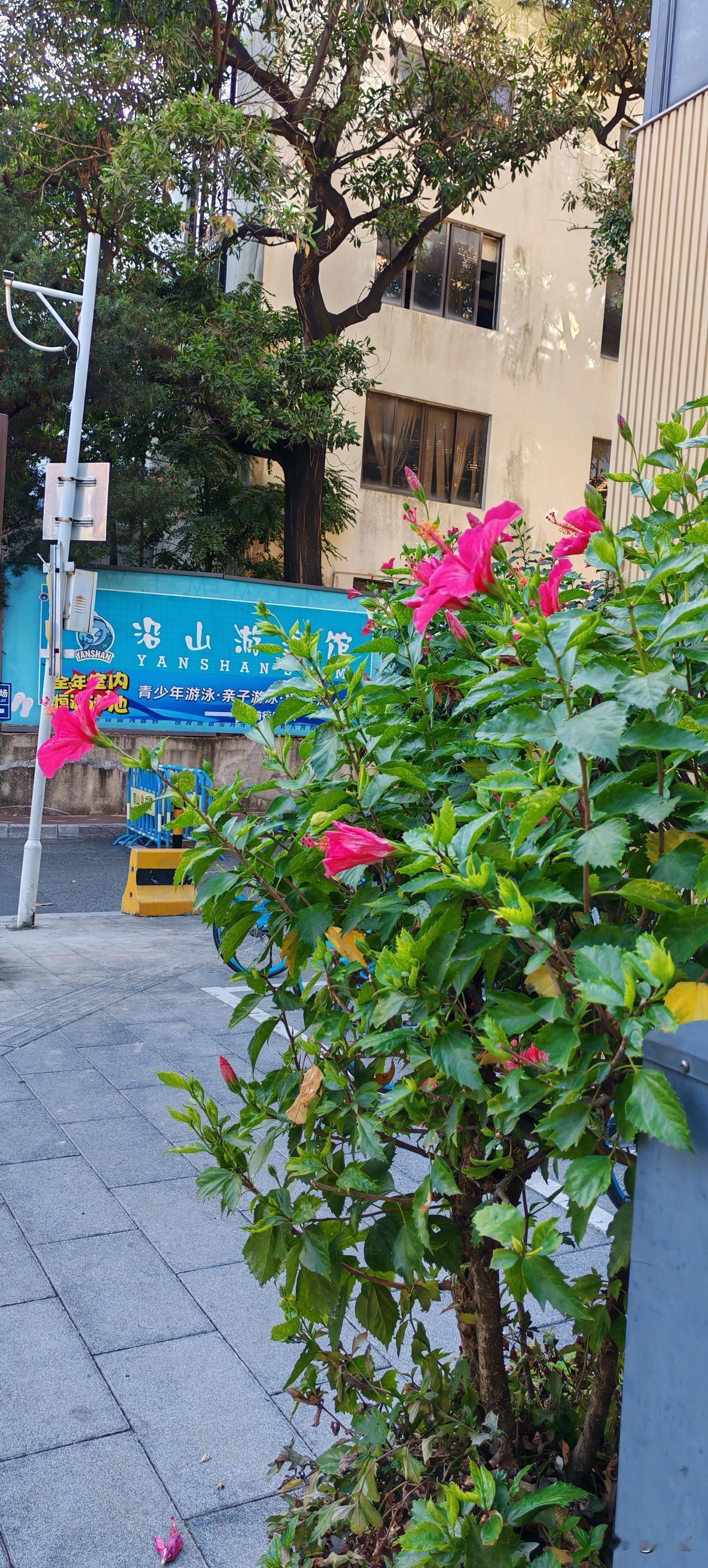 这就有些过分了。女子49岁带个儿子，二婚。二婚老公也有个儿子。二婚老公挣钱都