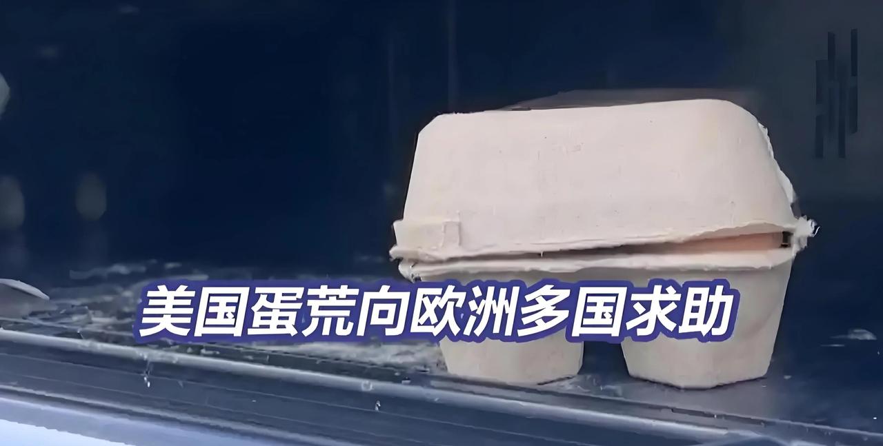 美国人为什么吃不起鸡蛋？是因为鸡蛋产能不够吗？说起美国常年的高价鸡蛋、全民蛋