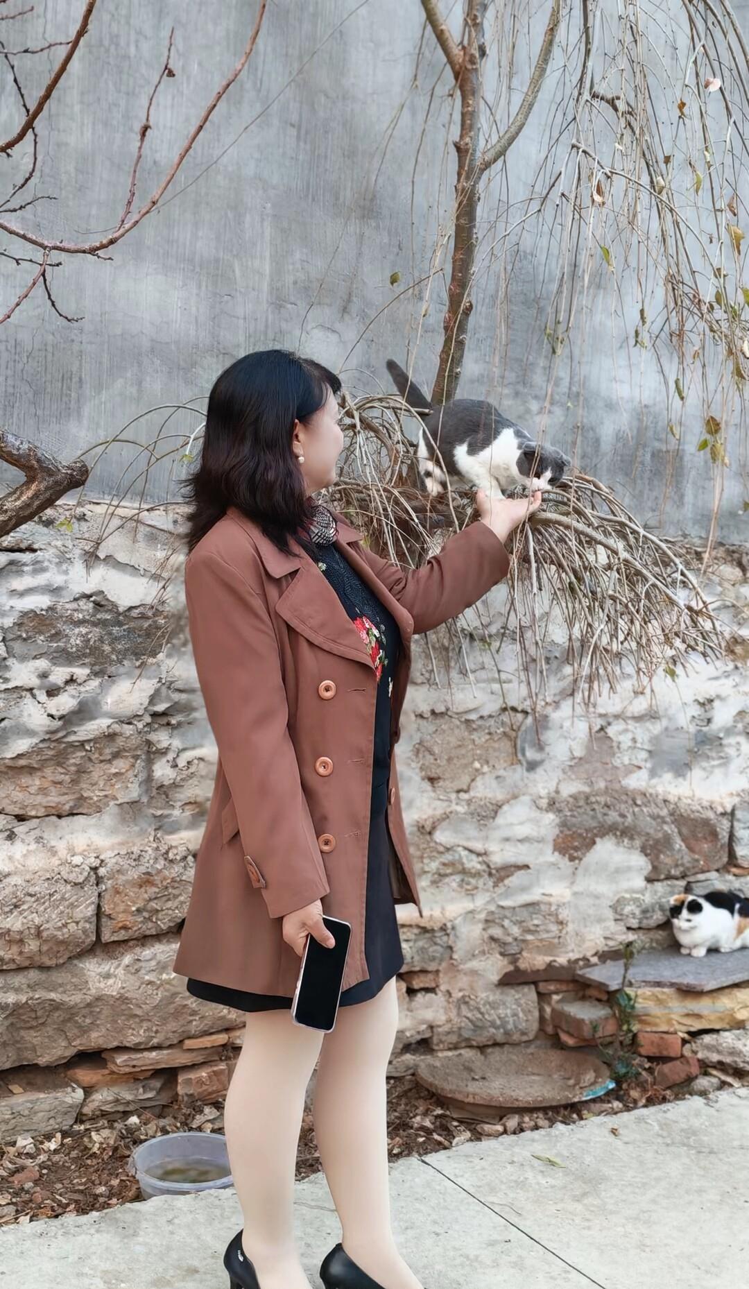 分享你相册里的最新一张照片