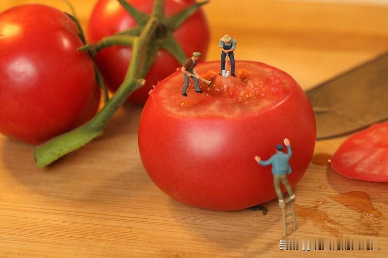 最近网上就对待小人，分成两派：一派愿意直言点破、坚决批判，一派只求表面和气，凡事