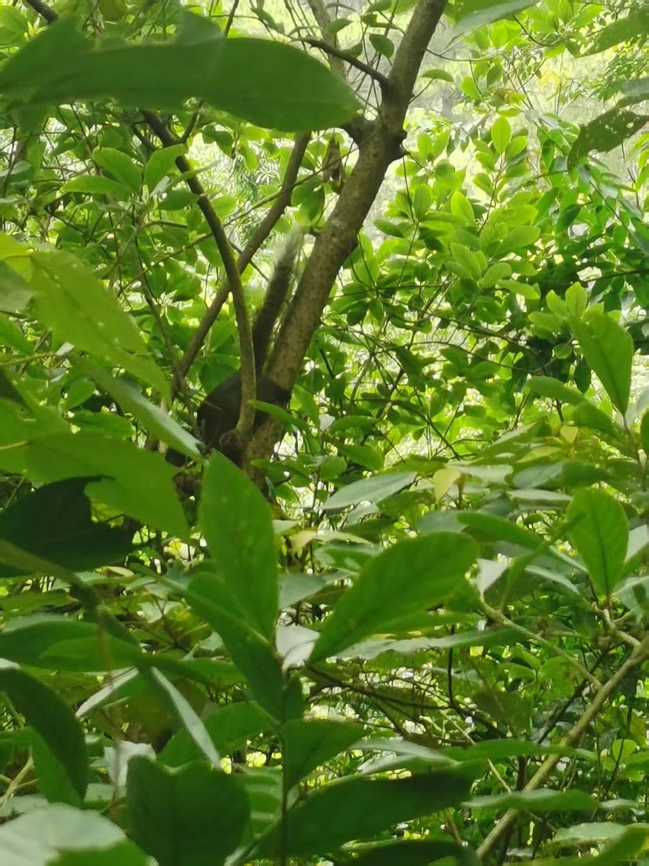 劫是用来渡的，可不是用来避的。《了凡四训》中的一句话：命自我立，福自我求。人