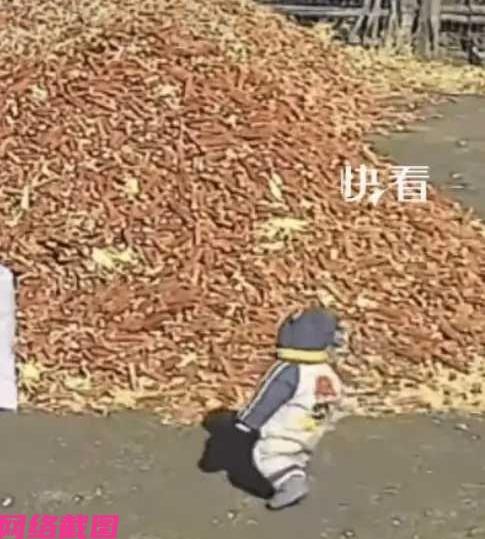 吉林有妈妈把快两岁的孩子，送到农村姥姥的家里过上一段生活。这天妈妈想自己的孩