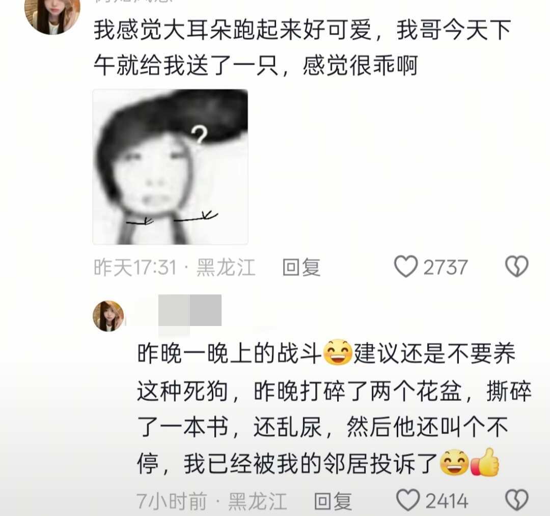 比格狗别看，是差评哈哈哈哈哈哈哈哈哈
