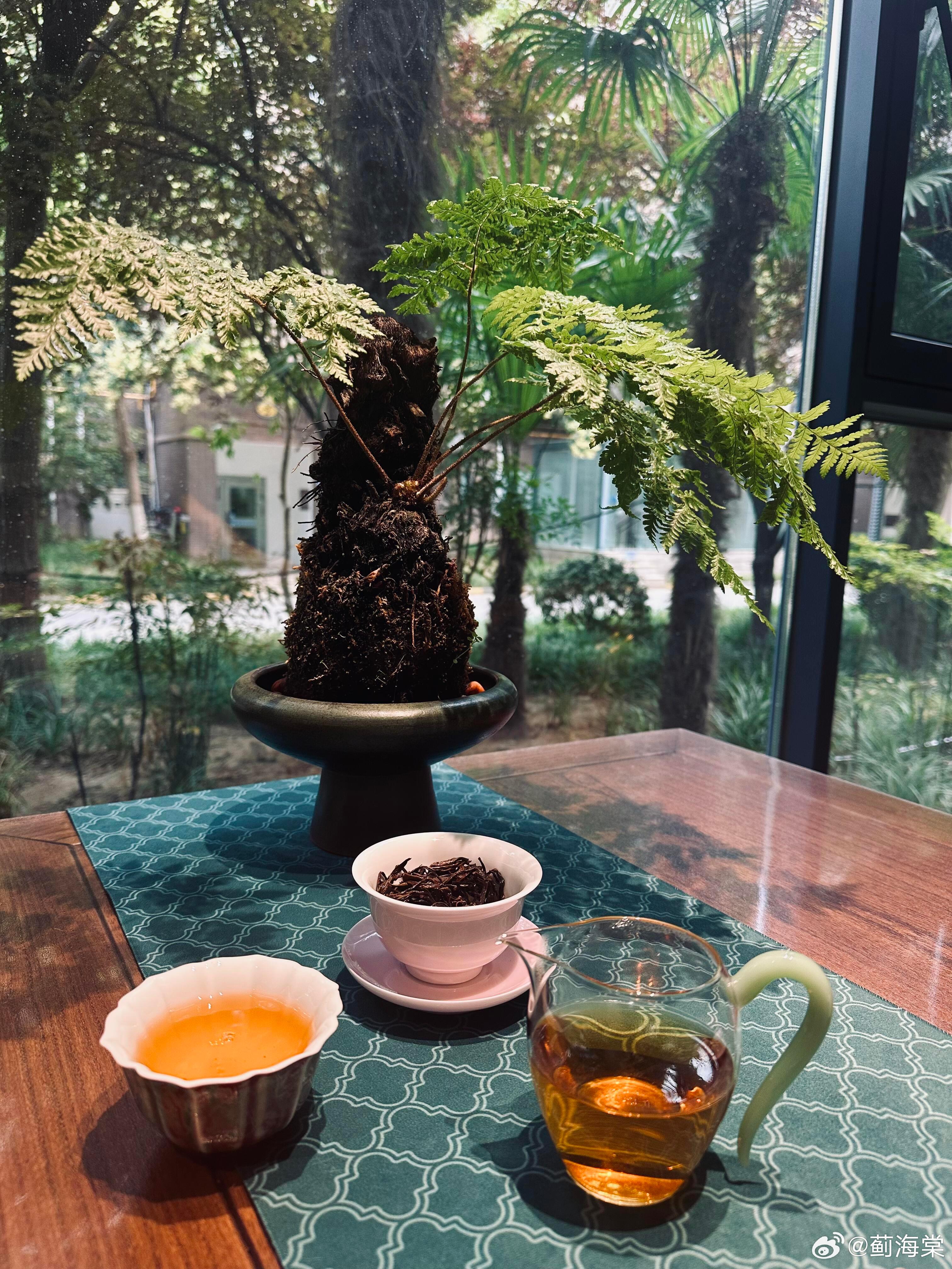 今天你喝茶了吗？