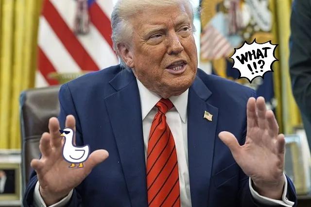 一觉醒来！2340万台胞天塌了！特朗普一锤定音，岛内以后只生产内衣和日用品。